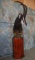 SABLE PED MT TAXIDERMY