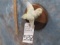 FLYING LIFESIZE YELLOW CANARY TAXIDERMY