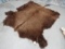BUFFALO HIDE TAXIDERMY