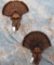 2 TURKEY FAN DISPLAYS (2X$) TAXIDERMY
