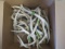 30 LB BOX OF ANTLERS  TAXIDERMY