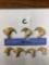 7 AFRICAN LION CLAWS (7x$) (TX RES)  TAXIDERMY