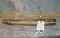 REPRODUCTION CARVED WALRUS TUSK TAXIDERMY