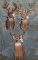 3 WHITETAIL SH MTS (3x$) TAXIDERMY