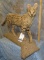 SERVAL CAT TAXIDERMY
