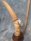 CARVED ELEPHANT TUSK ON BASE  (TX RES)  TAXIDERMY