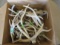 BOX OF 30LBS OF ANTLERS  TAXIDERMY