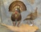 LIFESIZE TURKEY & TURKEY HEN ON LOG TAXIDERMY