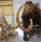 ONE OF A KIND!!! REPRODUCTION MAMMOTH SH MT