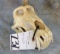 MONSTER SIZE AFRICAN BABOON SKULL (ALL TEETH)