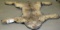 ALASKAN LYNX RUG TAXIDERMY