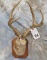 B&C RECORD BOOK JACK - A - LOPE TAXIDERMY