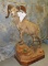 LIFESIZE RECORD BOOK DESERT BIGHORN TAXIDERMY