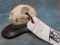 BOBCAT SKULL ON WOODEN PLAQUE TAXIDERMY