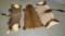 FULL BUSHBUCK, 1/4 GEMSBOK, &1/4 NYALA HIDES (3X$)