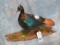 LIFESIZE IMPEYAN PHEASANT ON BASE  TAXIDERMY