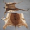 IMPALA BLESBOK HIDES (2X$)