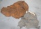 ELEPHANT HIDE & HOG HIDE (US RES)