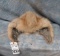 FAUX FUR MOUNTAIN MAN HAT TAXIDERMY