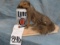 ALCOHOLIC SQUIRREL W/MILLER LIGHT CAN  TAXIDERMY