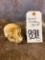VERVET MONKEY SKULL  TAXIDERMY