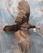 FLYING LIFESIZE TURKEY