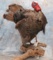 LIFESIZE TURKEY TAXIDERMY