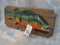 LIFESIZE REAL SKIN PEACOCK BASS  TAXIDERMY