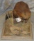 LIFESIZE BEAVER TAXIDERMY