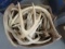 37 GRADE A SMALL/MEDIUM WHITETAIL ANTLERS APPROX 35LBS TAXIDERMY