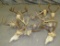 10 DEER SKULLS (ONE $) TAXIDERMY