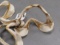 3 SETS OF SHARK JAWS (3x$)  TAXIDERMY