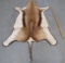 FELTED SPRINGBOK HIDE TAXIDERMY