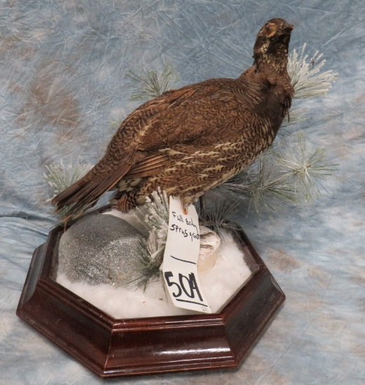 LIFESIZE SPRUCE GROUSE ON DRIFTWOOD  TAXIDERMY