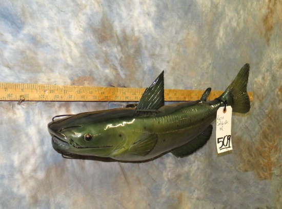 REPRODUCTION CATFISH MT TAXIDERMY