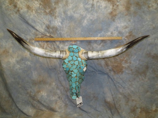 TURQUOISE LONGHORN SKULL TAXIDERMY