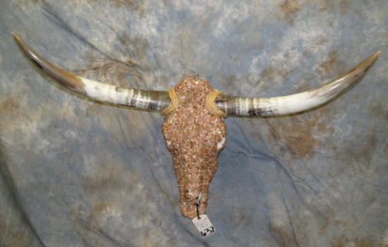 ROSE CRYSTAL LONGHORN SKULL TAXIDERMY