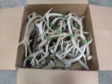 BOX OF 30LBS OF ANTLERS  TAXIDERMY