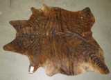 BROWN ZEBRA PRINT COWHIDE TAXIDERMY