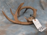 WINE BOTTLE RACK OF ANTLERS HOLDER