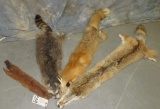 4 HIDES (4x$)