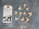 10 NICE MTN LION CLAWS (10x$) TAXIDERMY