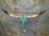 TURQUOISE LONGHORN SKULL TAXIDERMY