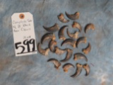 COMPLETE SET OF 20 BLACK BEAR CLAWS (20x$)