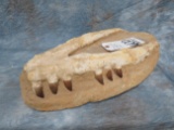FOSSILIZED ALLIGATOR JAW SET