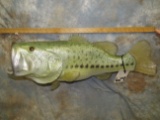 16 1/2 LB REPRODUCTION ALASKAN STATE RECORD BASS TAXIDERMY