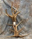 3 ELK SHEDS LARGE (3x$)