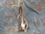 ANTLER TABLE LAMP W/T