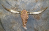 ROSE CRYSTAL LONGHORN SKULL TAXIDERMY