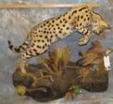 FB SERVAL CAT W/ QUAIL